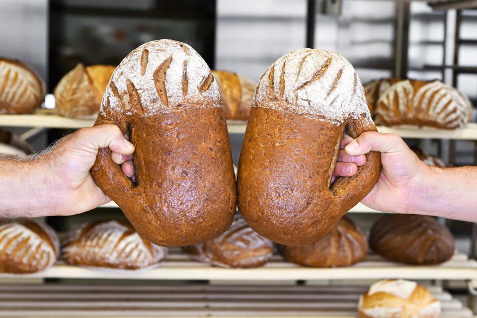 Zwei zu Bierkrügen geformte Brote stoßen durch zwei Hände miteinander an 